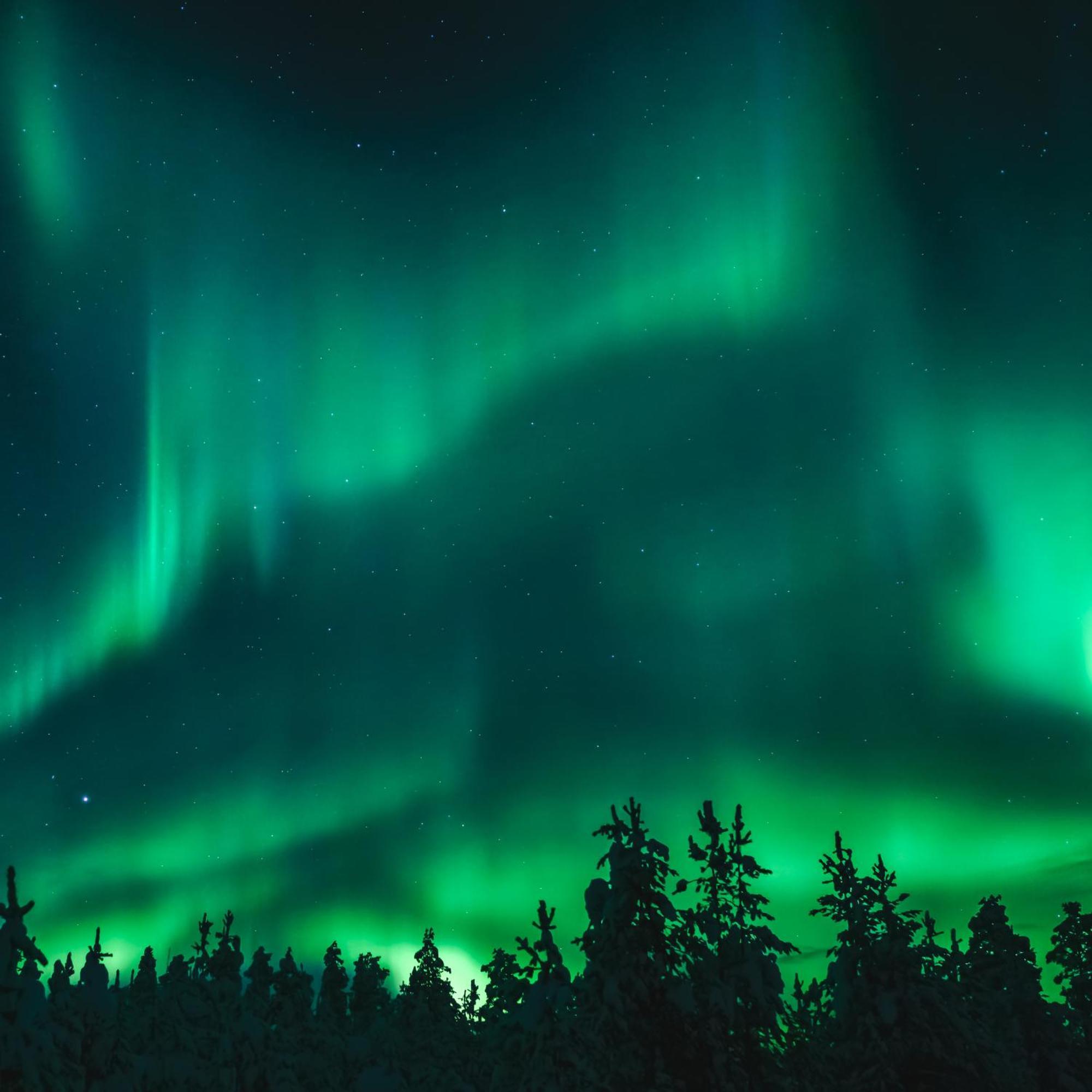 칼릭스 Skog Aurora Igloos 빌라 외부 사진