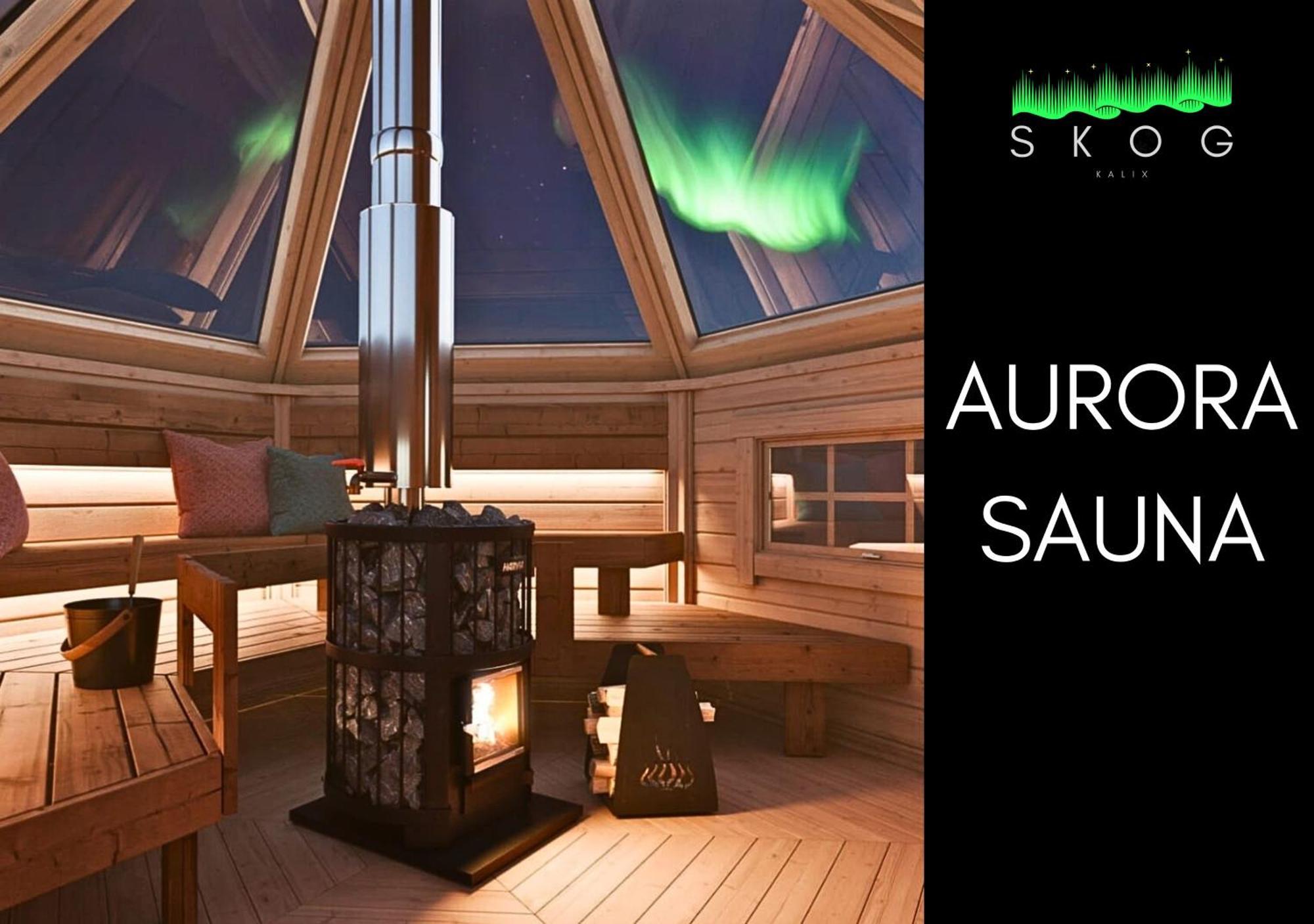 칼릭스 Skog Aurora Igloos 빌라 외부 사진
