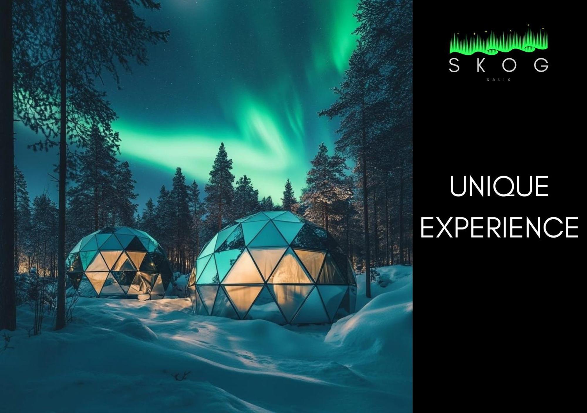 칼릭스 Skog Aurora Igloos 빌라 외부 사진