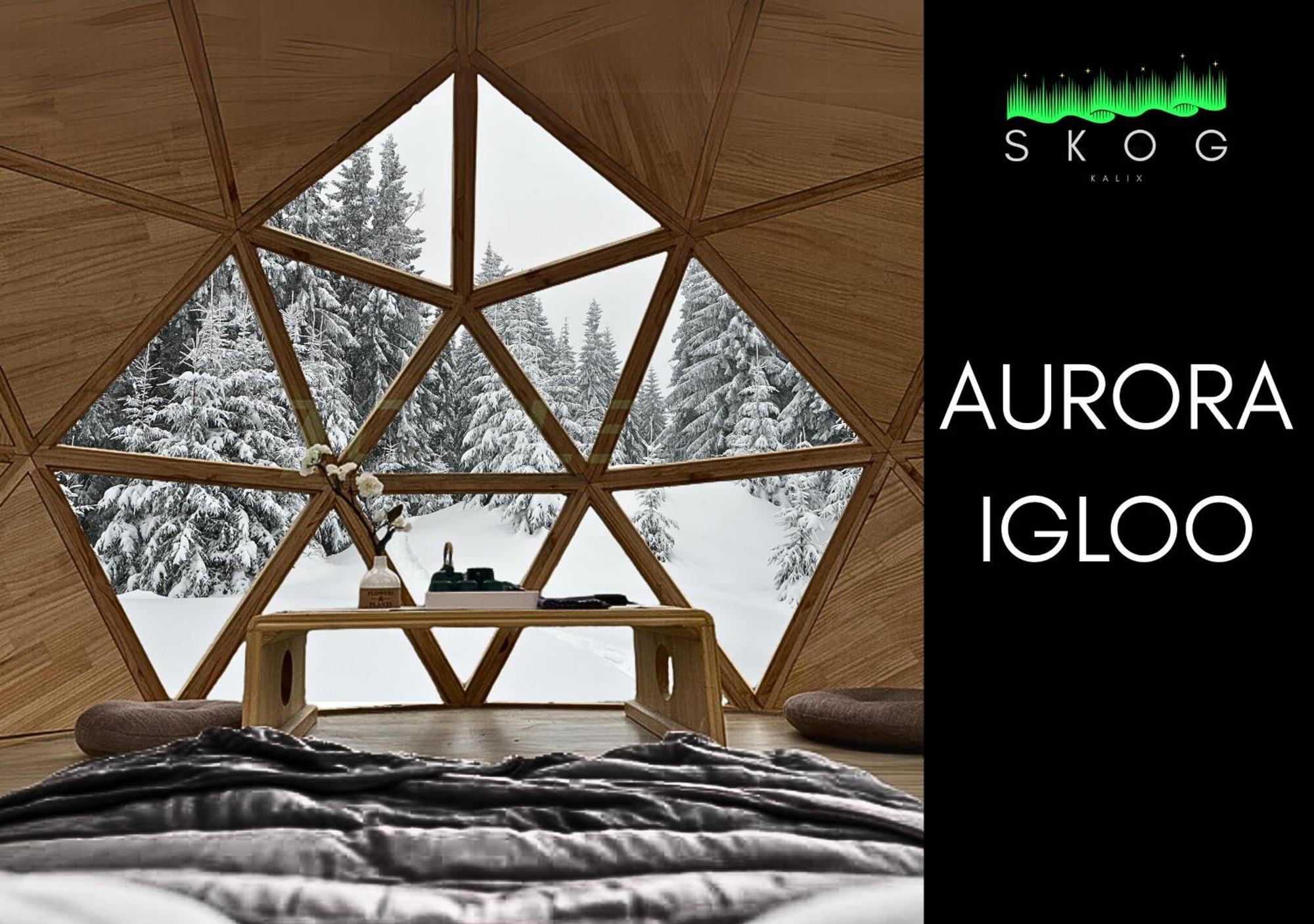 칼릭스 Skog Aurora Igloos 빌라 외부 사진
