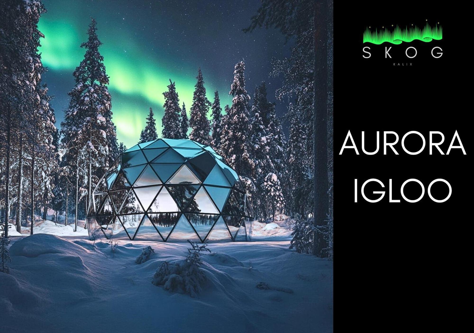 칼릭스 Skog Aurora Igloos 빌라 외부 사진