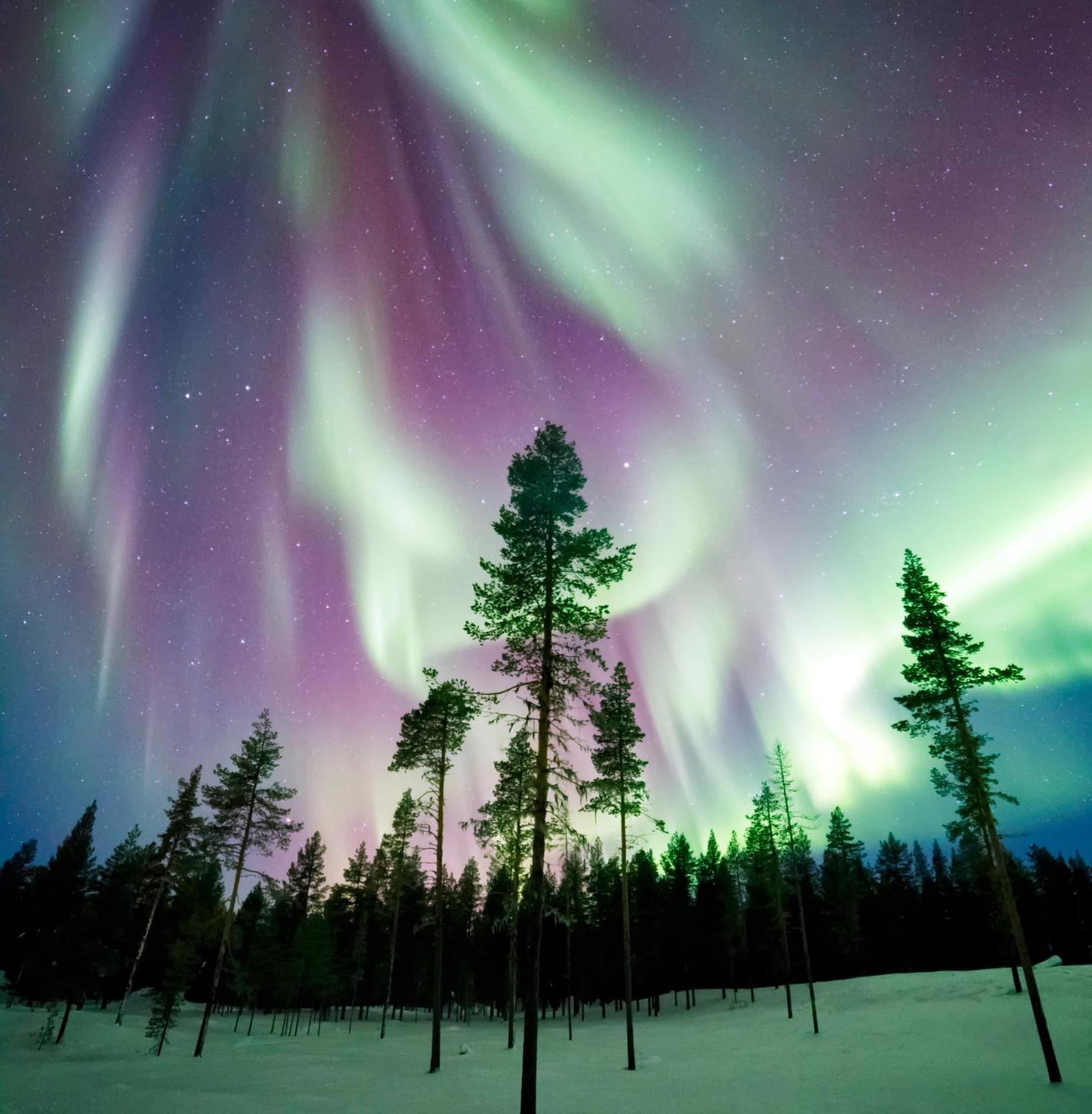 칼릭스 Skog Aurora Igloos 빌라 외부 사진