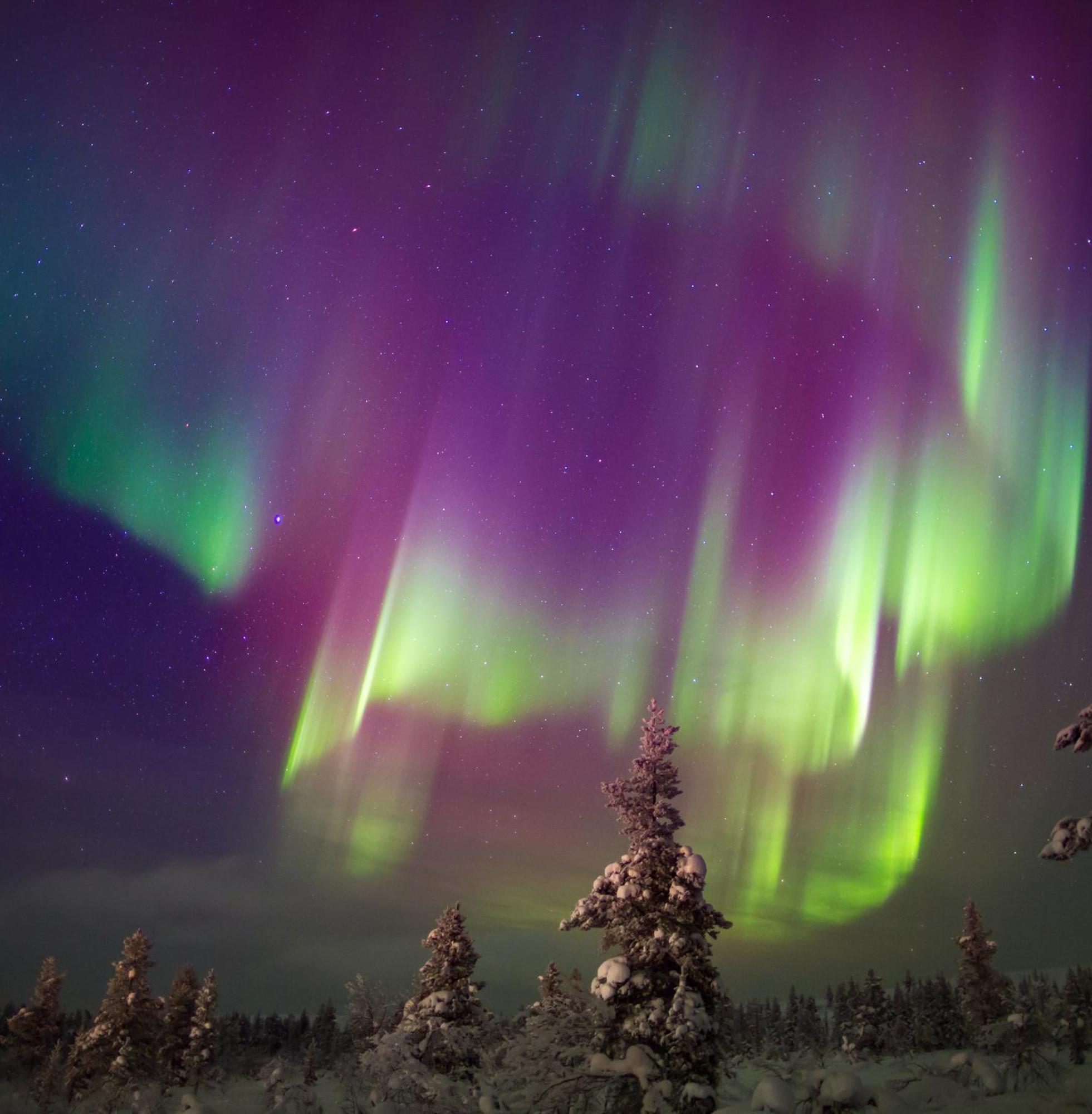 칼릭스 Skog Aurora Igloos 빌라 외부 사진