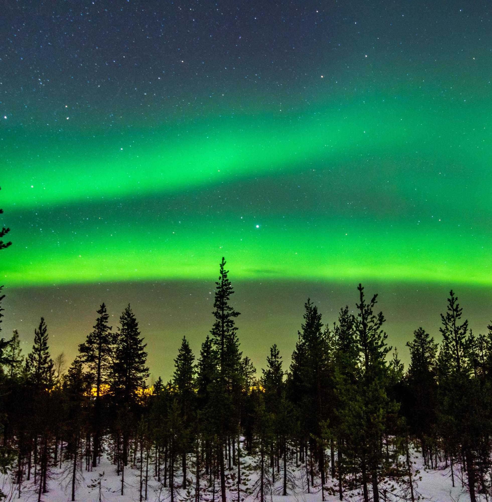 칼릭스 Skog Aurora Igloos 빌라 외부 사진