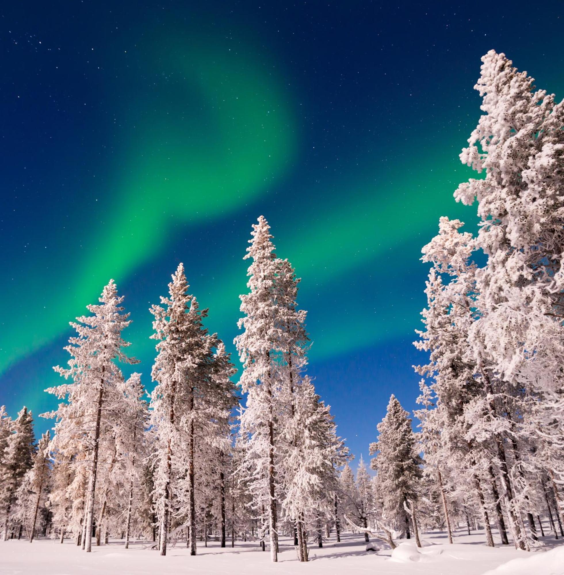 칼릭스 Skog Aurora Igloos 빌라 외부 사진