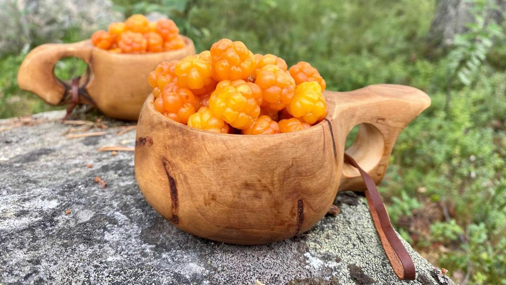칼릭스 Skog Aurora Igloos 빌라 외부 사진